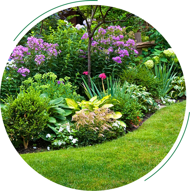Lush green garden with pink flowers.