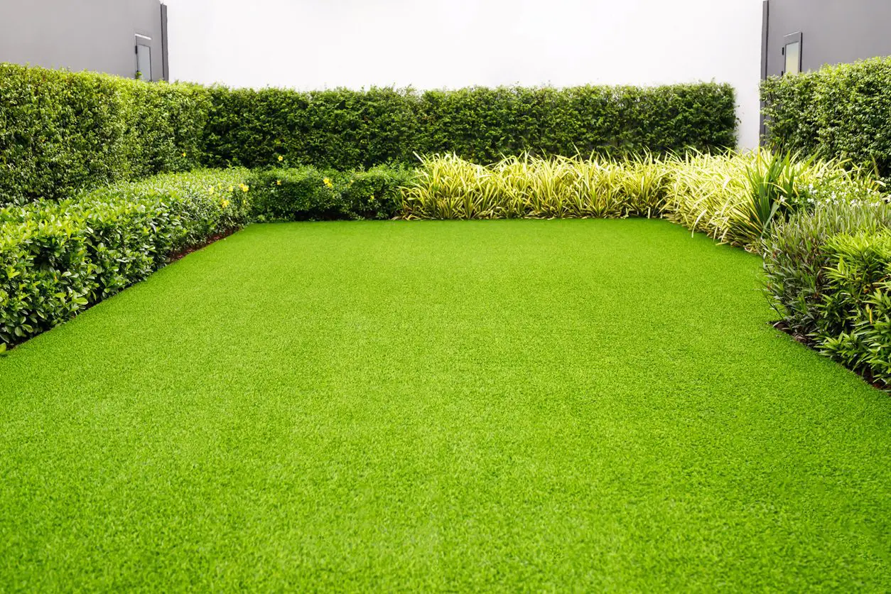 Green artificial grass lawn with shrubs.
