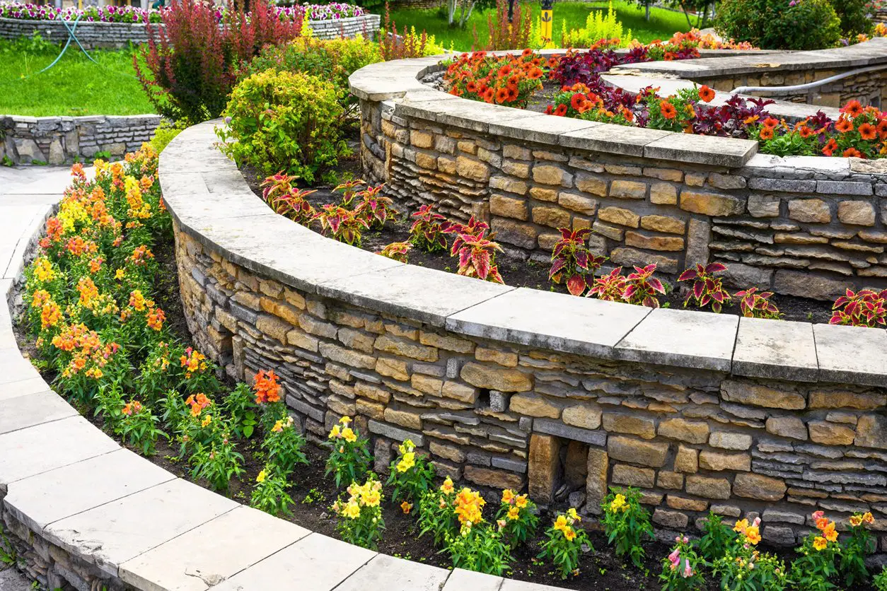 Stone wall with colorful flowers in garden.