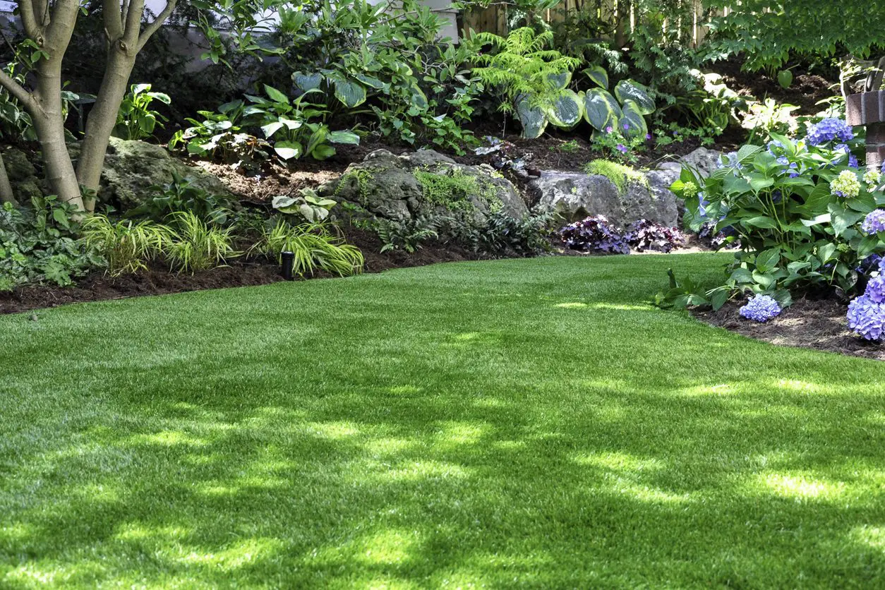 Green lawn with flowers and rocks.